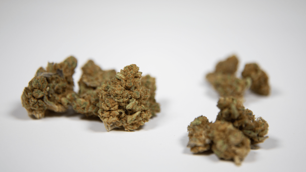 Top 5 Uplifting Sativa Strains You Can Have Delivered Today